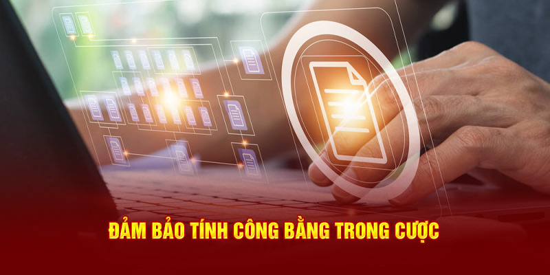 Đảm bảo sự công bằng minh bạch